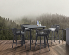 Load image into Gallery viewer, Diva Bar Stool